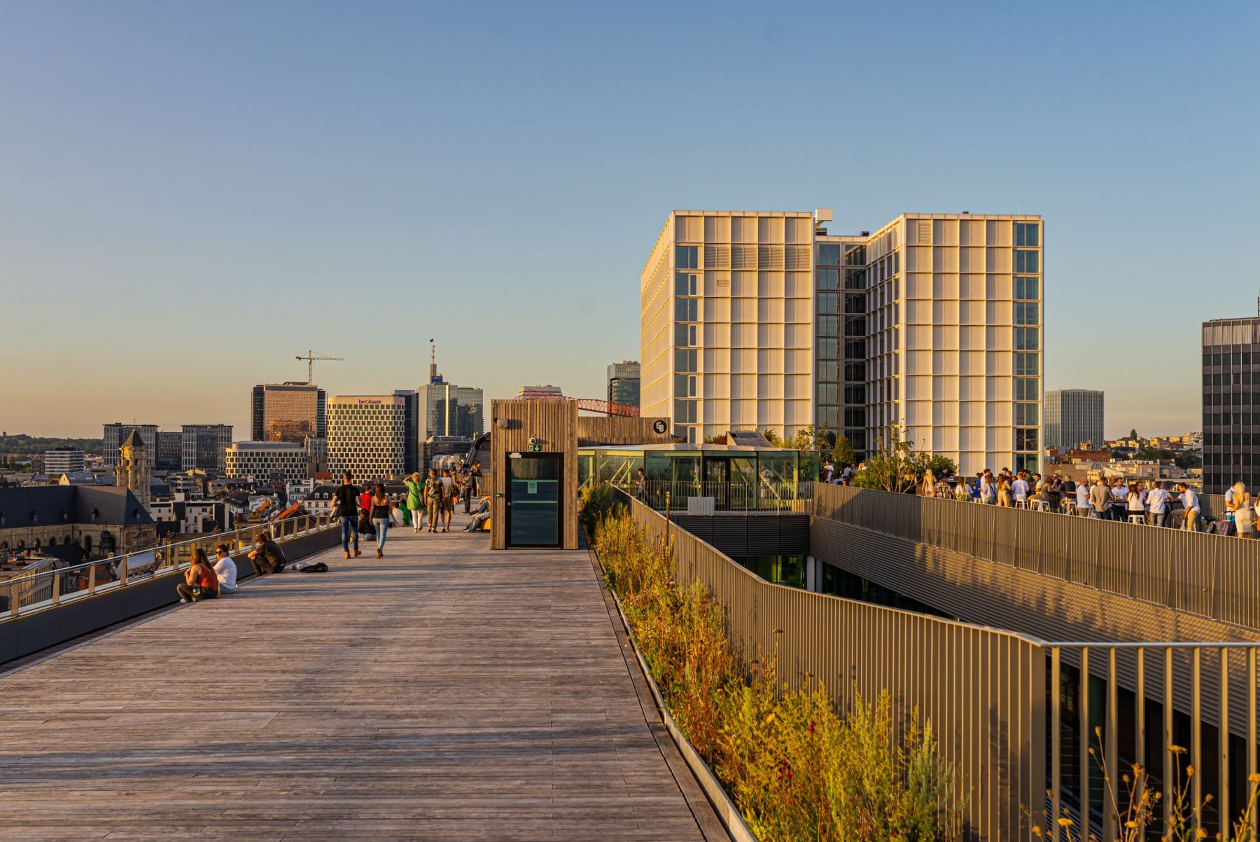 58 Rooftop