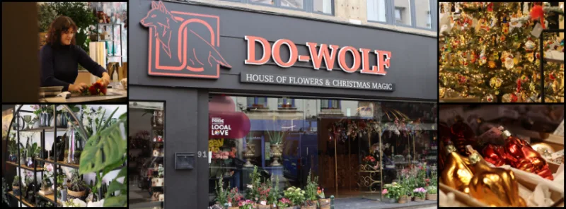DO-Wolf / House of Flowers & Christmas Magic