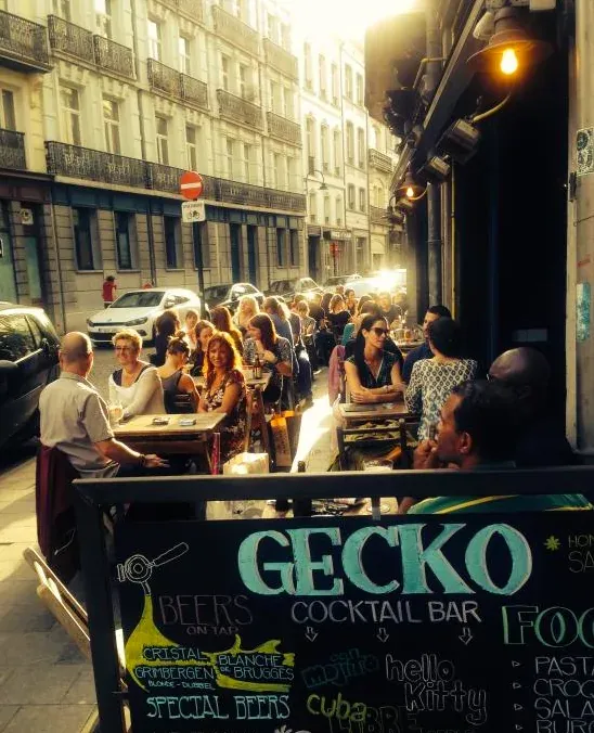 Gecko
