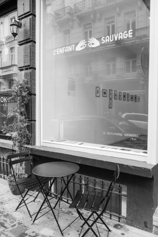 L'Enfant Sauvage