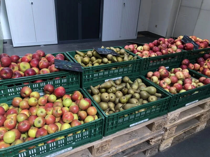 Marché Bio des Tanneurs