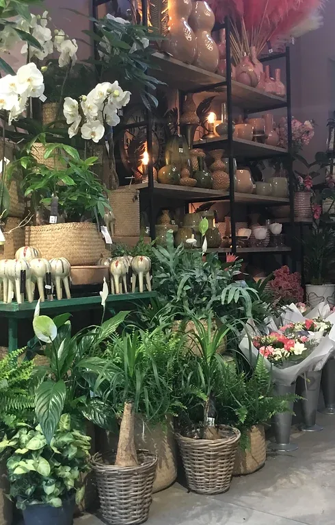 V.V.M Bloemen