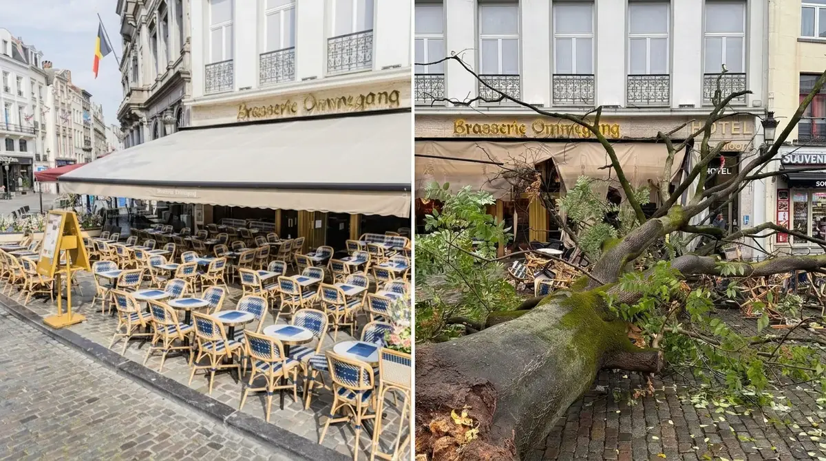 Brasserie Ommegang: a la izquierda, la terraza antes de la tormenta; a la derecha, el árbol caído sobre ella